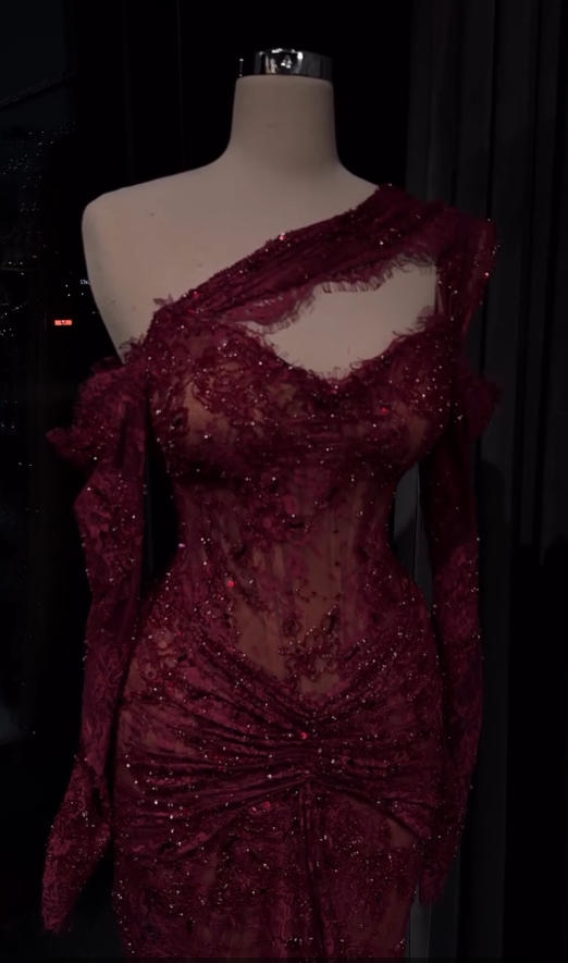Luxury Wine red Lace Long sleeves Evening Dress Fromal Party Gown LA73691